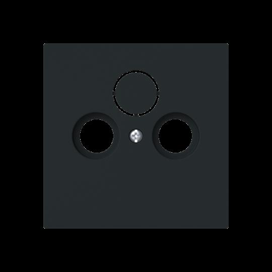 Busch-Jaeger Zentralscheibe Steckdose 2/3-fach 1743-45M günstig online kaufen