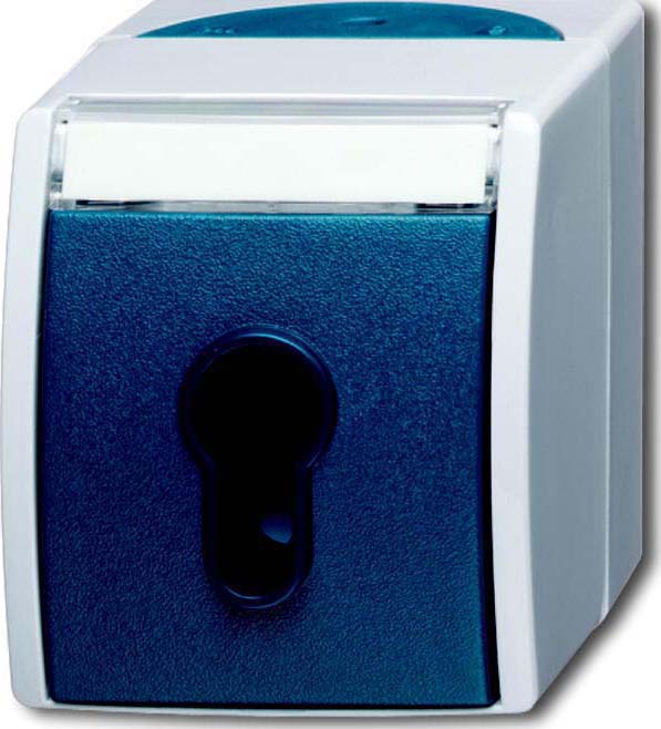 Busch-Jaeger Schlüsselschalter AP 2733 SLW-53 - 2CKA001101A0917 günstig online kaufen