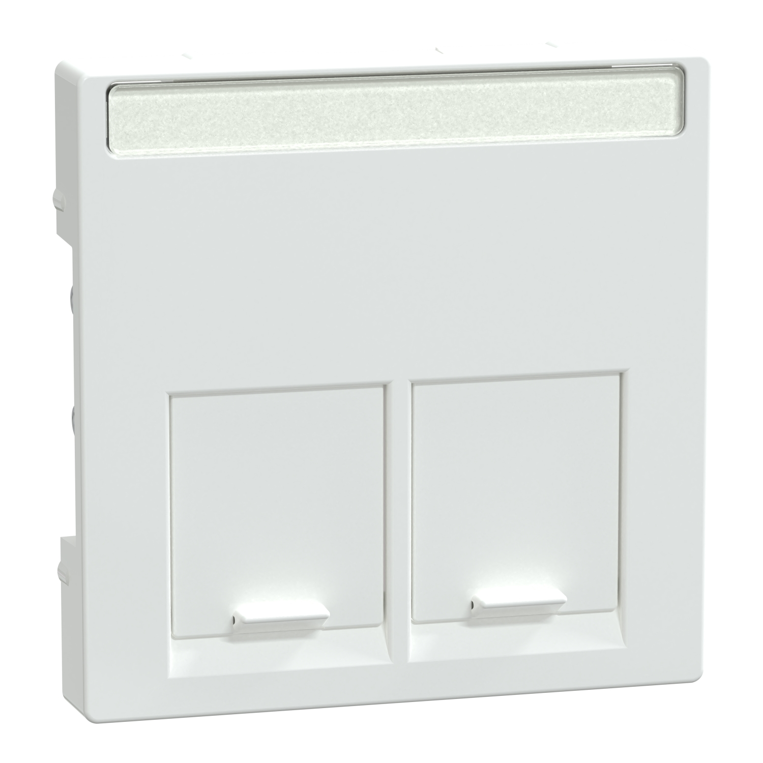 Merten Zentralplatte 2fach aktivws gl MEG4574-0325