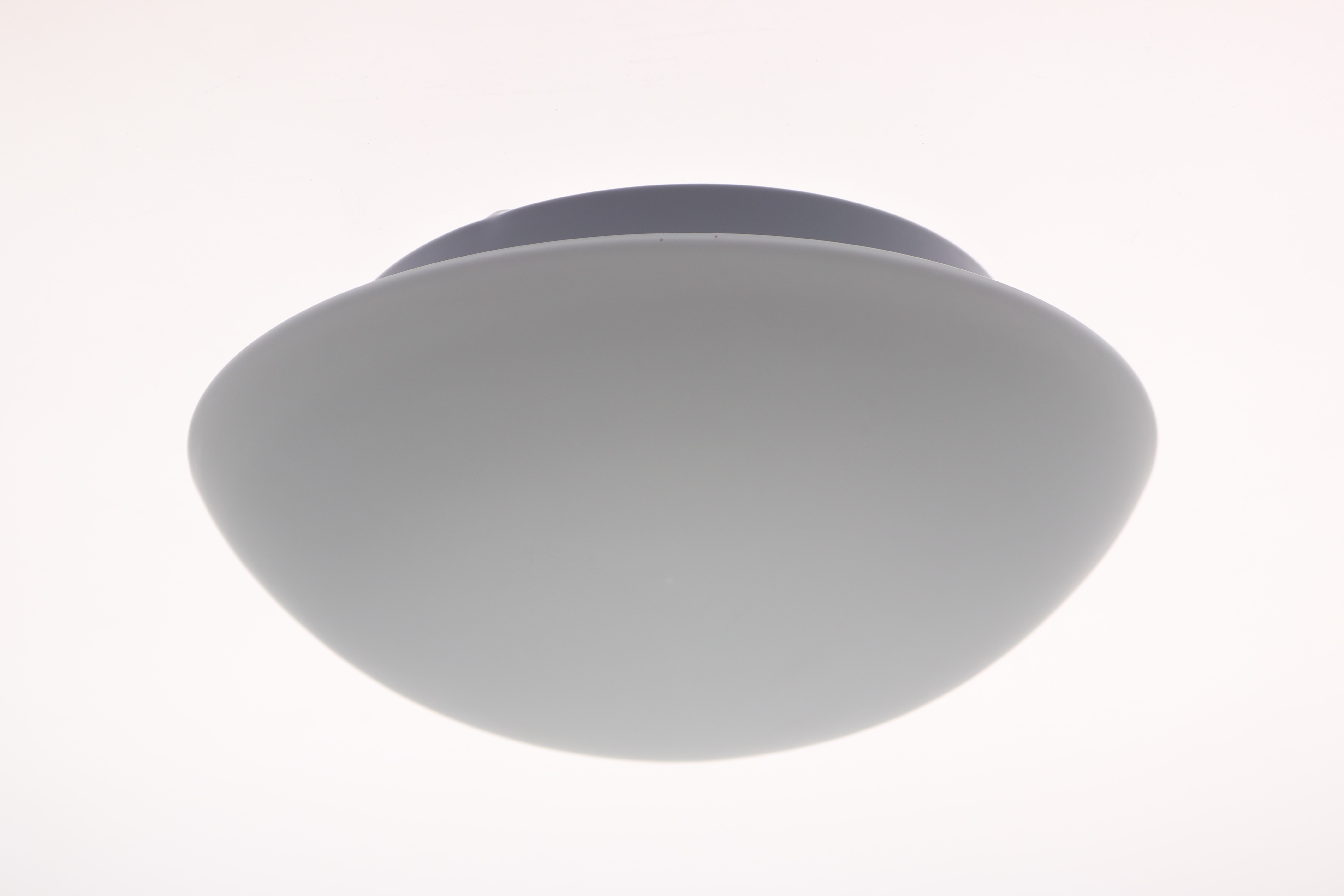 WATT24 WELOOM glass-only luminaire - Opal matt Ø30 1xE27 75W