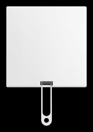 Busch-Jaeger Zugschalter AP 2610/6 J-524