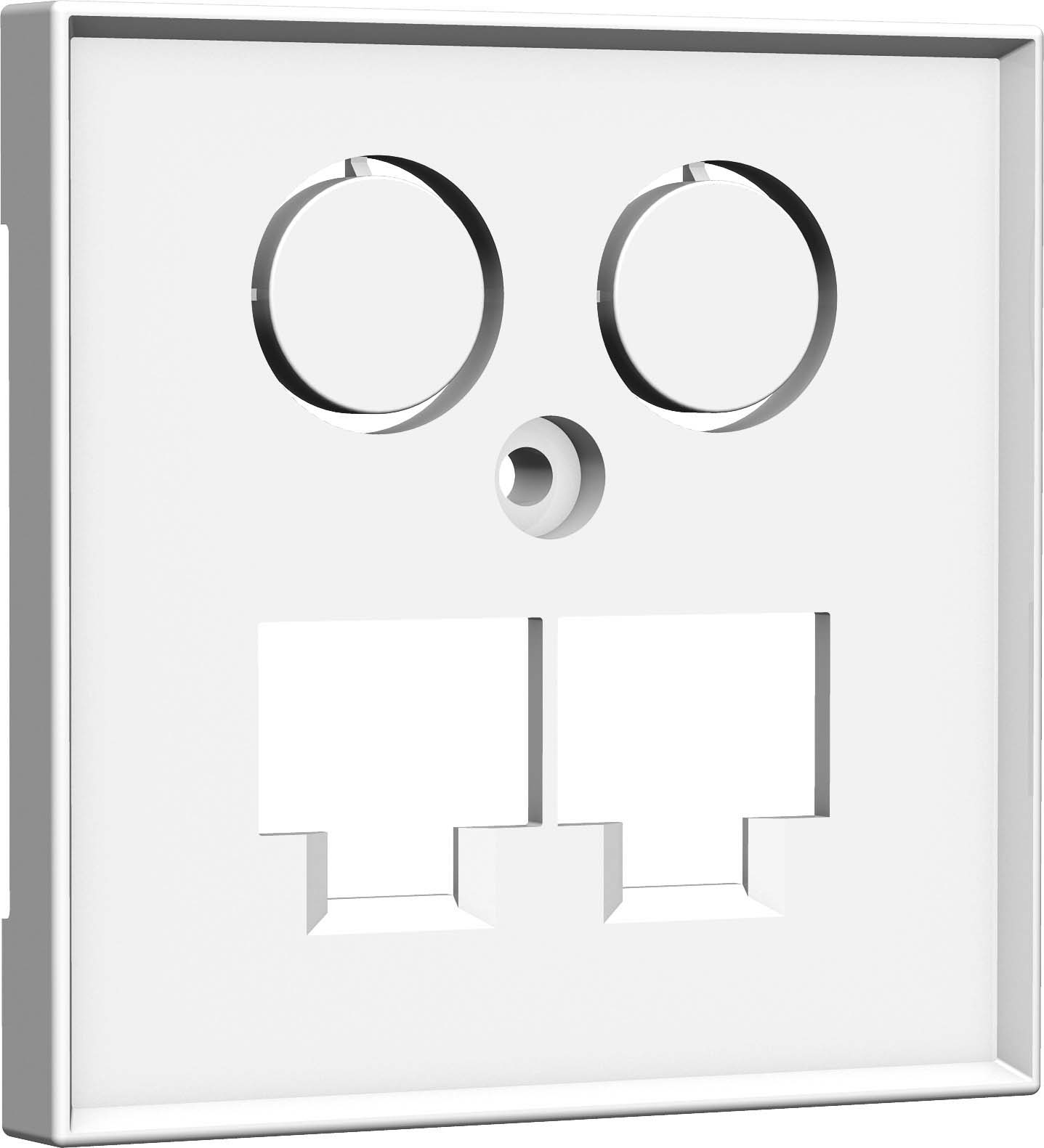 Homeway Zentralplatte 55x55mm rws TV+LAN/LAN 55x55