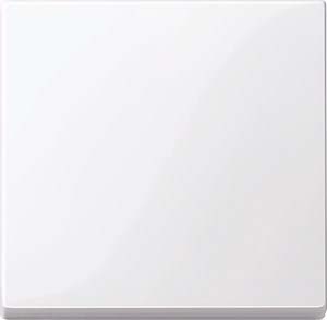 Merten Wippe aws/gl 432125 Merten Wippe aws/gl 432125