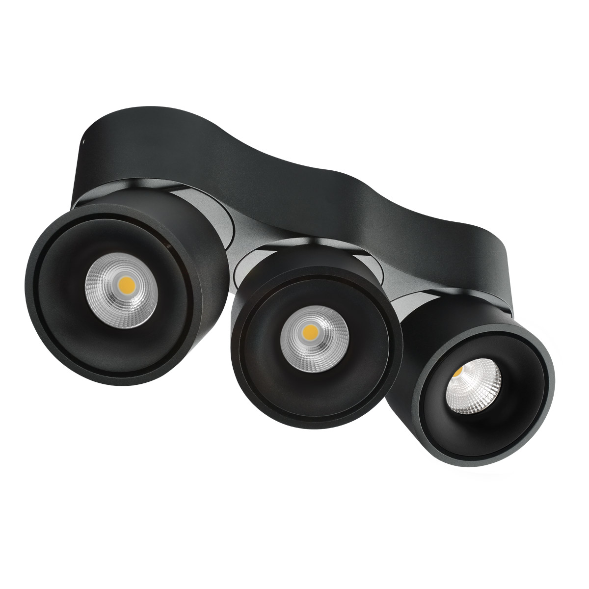 EVN Lichttechnik LED-Wand u.Deckenleuchte AS20270925 - AS20270925 günstig online kaufen