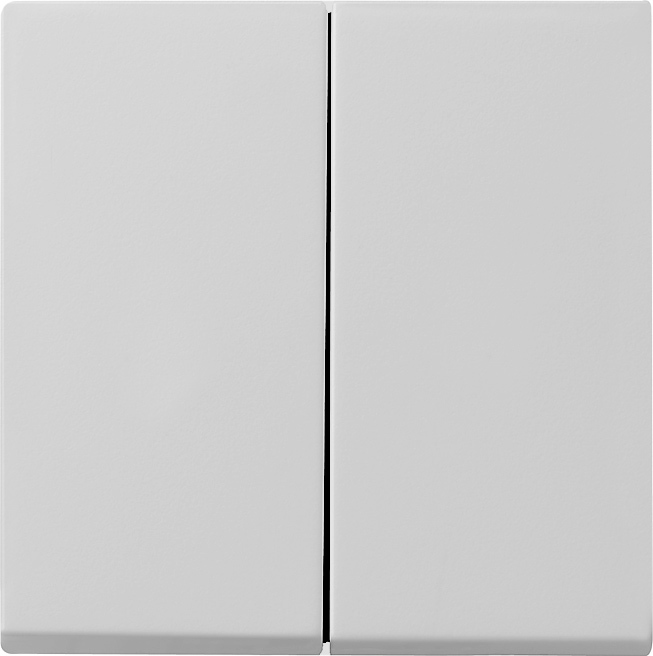 Gira Wippe 2-f. grau 0295015