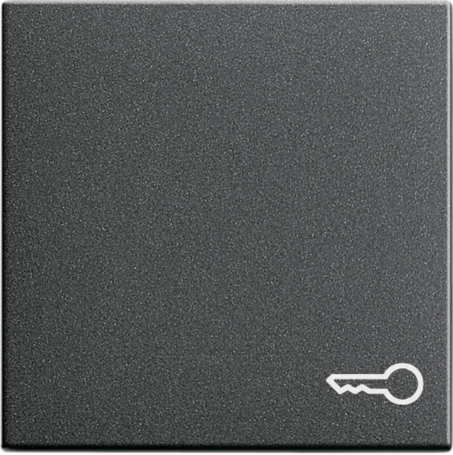 Gira Wippe Tür anth System55 028728 günstig online kaufen