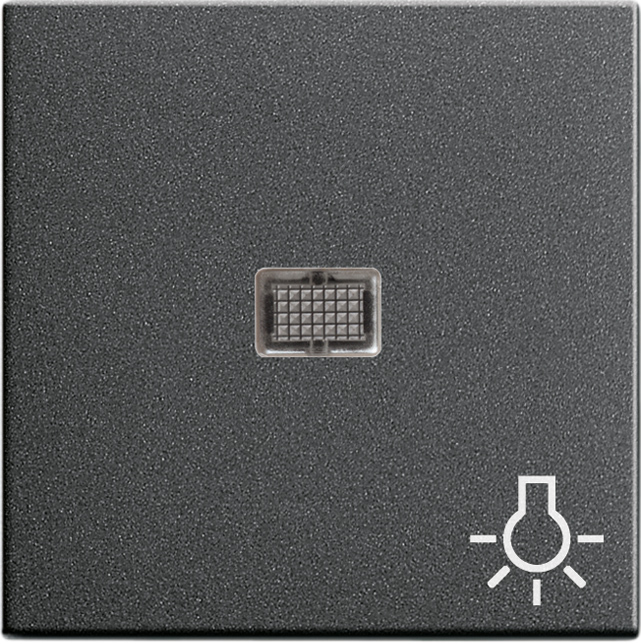 Gira Wippe anth Symbol Licht 063028