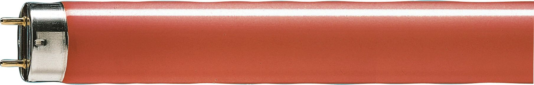 Philips Lighting Leuchtstofflampe 36W rot TL-D 36W/15
