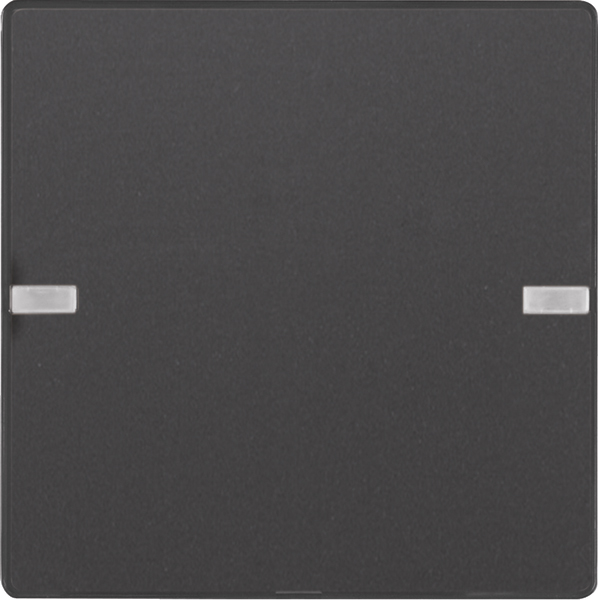 Berker Tastsensor 1f. anthr/samt komfort 80141326