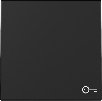 Gira Wippe Symb. Tür Schwarz m 3287005 - 3287005