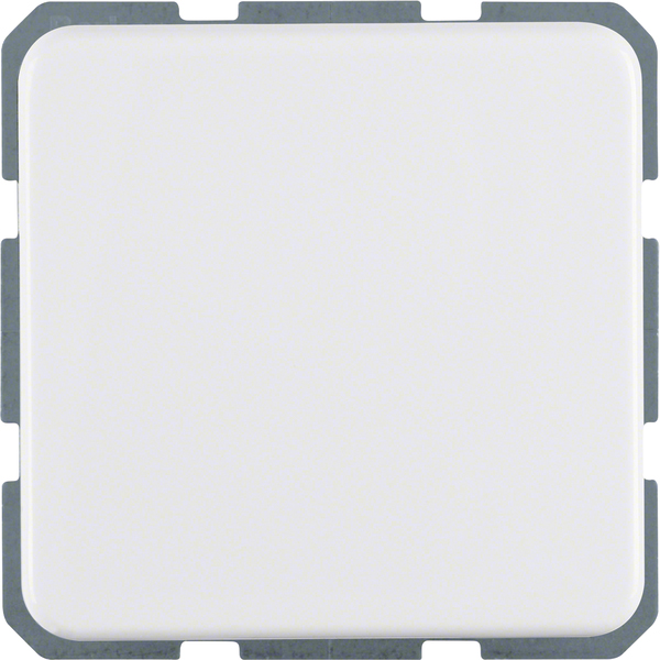 Berker Steckdose pws Schuko 471509 günstig online kaufen