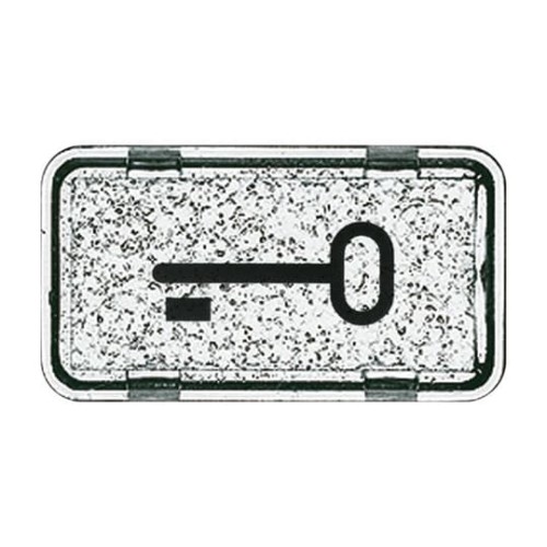 Busch-Jaeger Tastersymbol Schlüssel 2622 TR-101 - 2CKA001714A0286