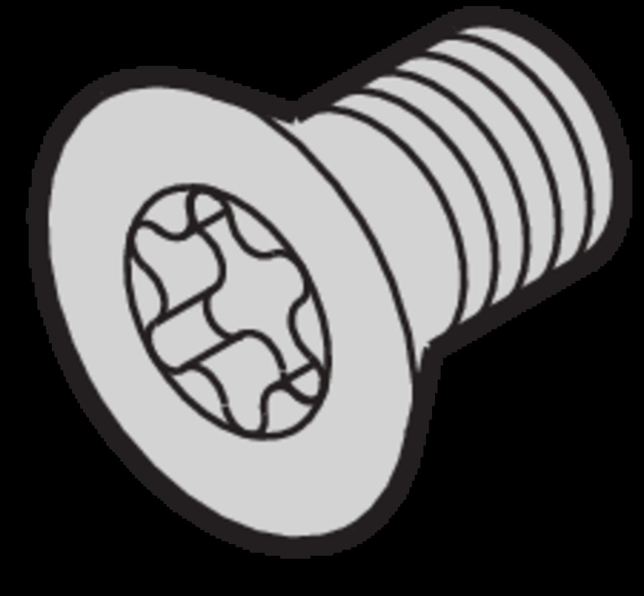 Schroff Senkschraube 24560183 (VE100)