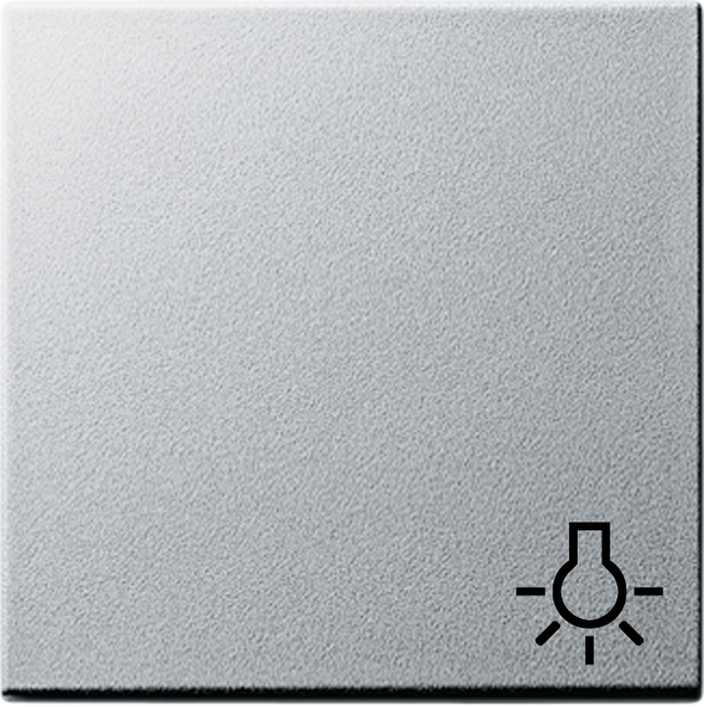 Gira Wippe Licht alu System55 028526