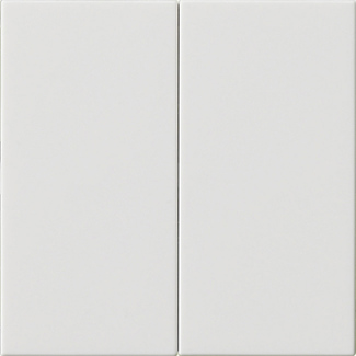 Gira Wippe 2-fach ReinweiÃŸ 537003