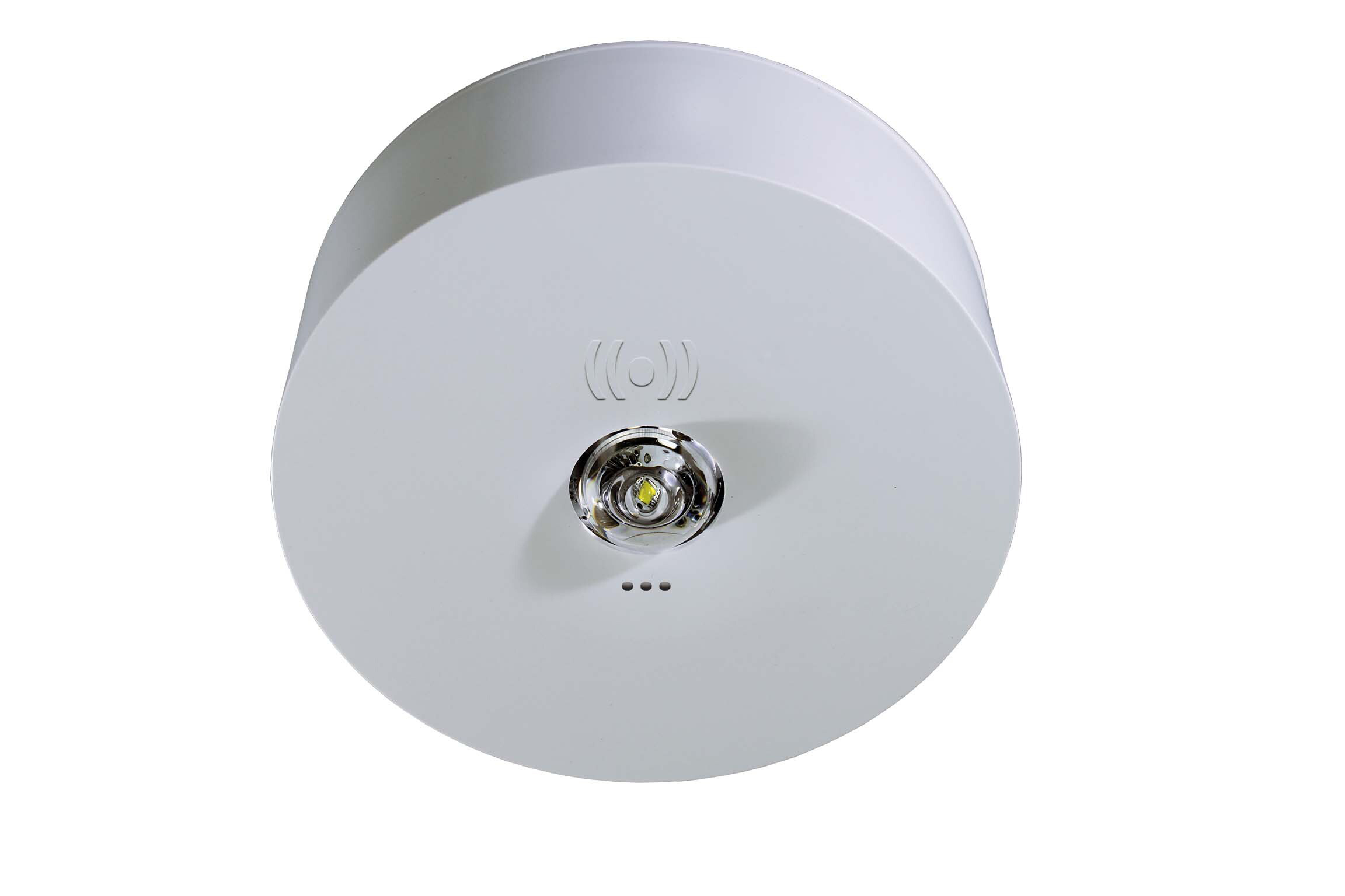 RP-Technik Sicherheitsleuchte SC, 3h ILDK423SC