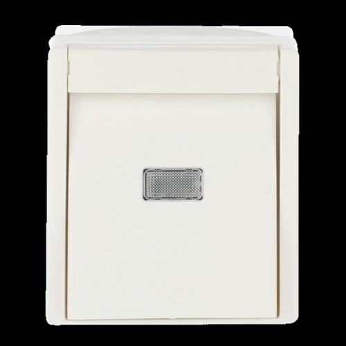Busch-Jaeger Wipptaster,mit Beleuchtung 2621 WGL-54 - 2CKA001484A0381