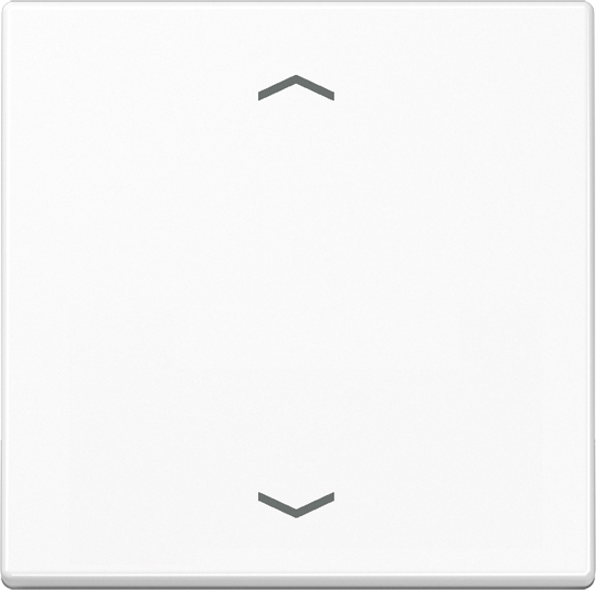Jung Steuertaste Standard Symbole Pfeile A 1700 P WW - A1700PWW günstig online kaufen