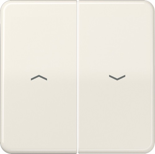 Jung Wippe Symbole ws für Taster CD 595 P - CD595P