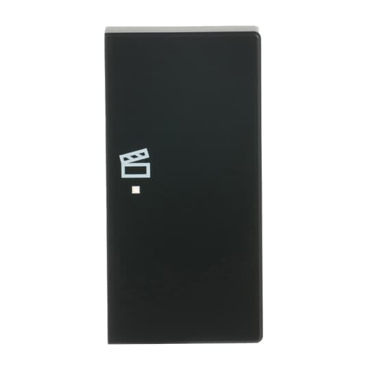 Busch-Jaeger Wippe sw mt future linear 6233-22-885