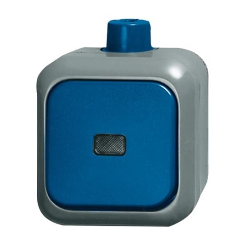Busch-Jaeger Kontrollwechselschalter AP 2601/6 SKWDI - 2CKA001084A0854 günstig online kaufen